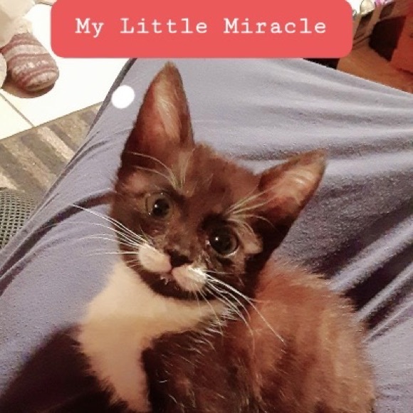 Meet your Posher, Dwana - Picture 16 of 16